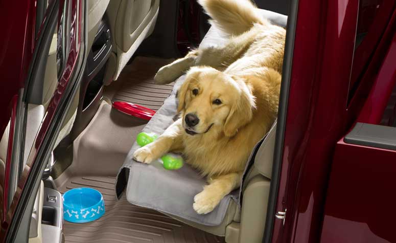 Seat protection from Pets
